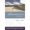 The Minor Prophets: Hosea-Jonah - Paperback