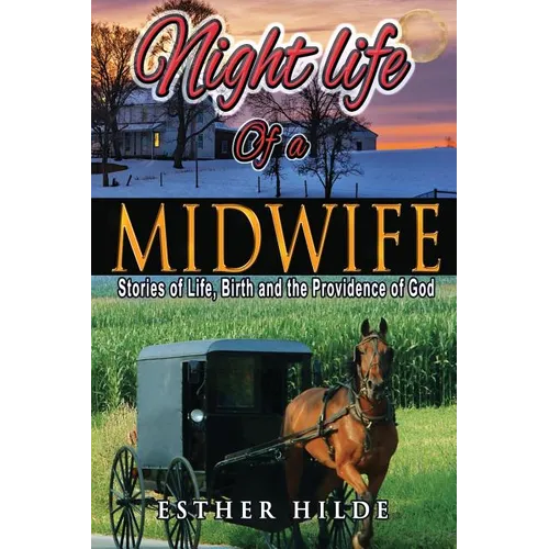Nightlife of a Midwife: Stories of Life, Birth and the Providence of God - Paperback