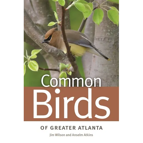 Common Birds of Greater Atlanta - Paperback