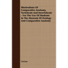 Illustrations of Comparative Anatomy, Vertebrate and Invertebrate - For the Use of Students in the Museum of Zoology and Comparative Anatomy - Paperback