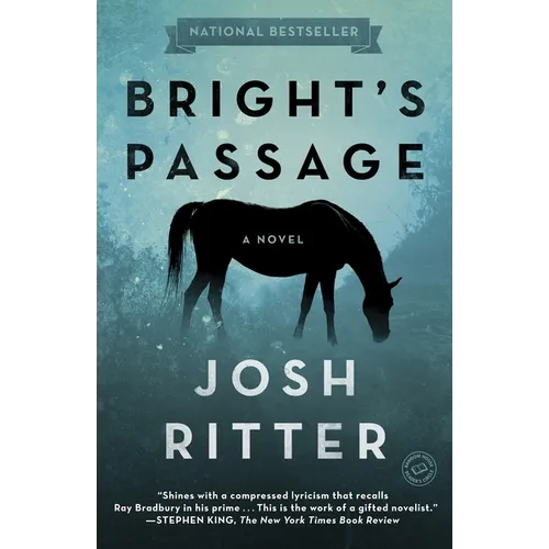Bright's Passage - Paperback