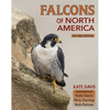 Falcons of North America - Paperback