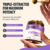 Organic Lion’s Mane Mushroom Powder