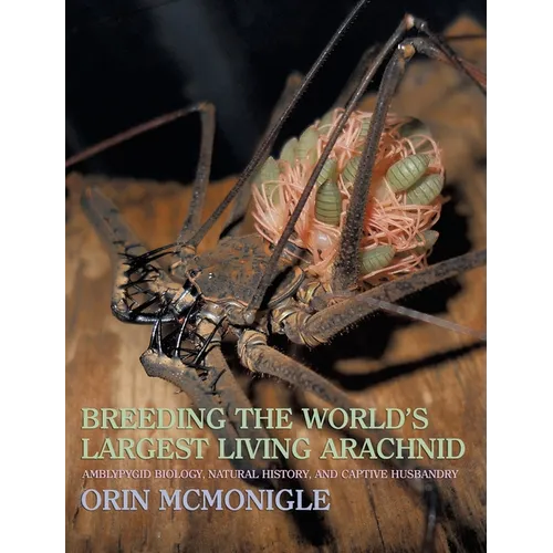 Breeding the World's Largest Living Arachnid: Amblypygid (Whipspider) Biology, Natural History, and Captive Husbandry - Hardcover