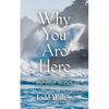 Why You Are Here: and other stories - Paperback