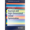 Bayesian and High-Dimensional Global Optimization - Paperback
