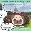 Rocket Around Washington DC! Neurodiverse activity & coloring book - Paperback
