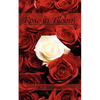 Rose in Bloom - Paperback