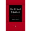 The Critical Situation: Vexed Perspectives in Postmodern Literary Studies - Hardcover