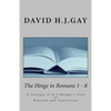The Hinge in Romans 1 - 8: A critique of N.T.Wright's view of Baptism and Conversion - Paperback