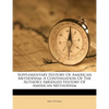 Supplementary History of American Methodism: A Continuation of the Author's Abridged History of American Methodism - Paperback