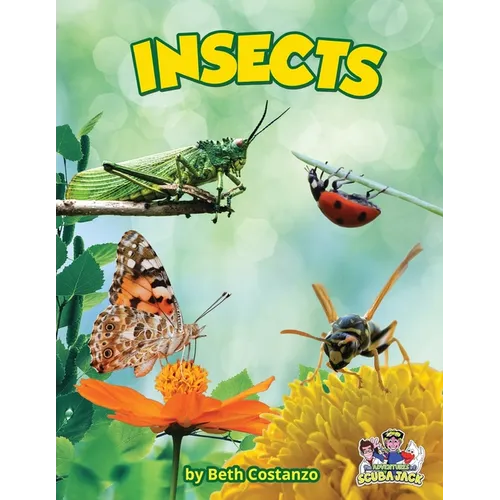 Insects - Paperback