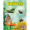 Insects - Paperback
