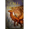 Call of the Dragon: A Young Adult Fantasy Adventure - Paperback