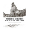 Breeding Chickens For Egg Production - Paperback