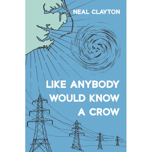 Like Anybody Would Know a Crow - Paperback