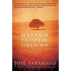 Raised from the Ground - Paperback