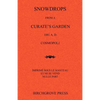 Snowdrops from a Curate's Garden - Paperback