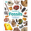 My Book of Fossils: A Fact-Filled Guide to Prehistoric Life - Hardcover