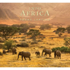 Into Africa - Hardcover