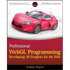 Professional Webgl Programming: Developing 3D Graphics for the Web - Paperback