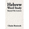 Hebrew Word Study: Beyond the Lexicon - Paperback