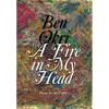 A Fire in My Head: Poems for the Dawn - Hardcover