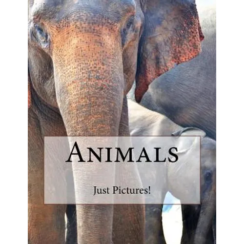 Animals - Paperback