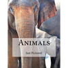 Animals - Paperback