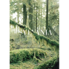 Sylvania - Hardcover