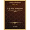 Of The Process Of Christ In His Suffering, Dying And Rising Again - Paperback