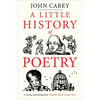 A Little History of Poetry - Paperback