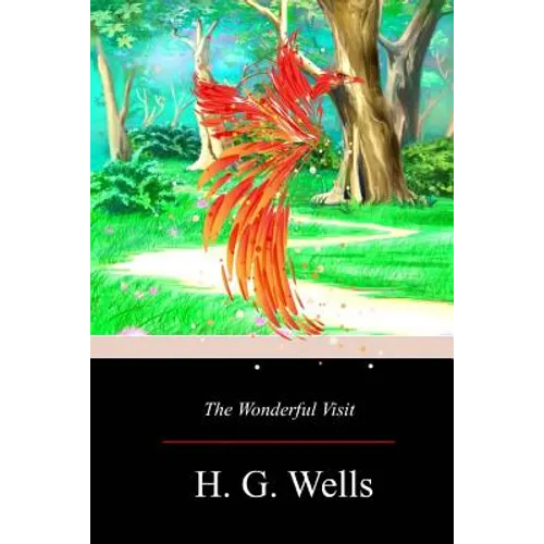 The Wonderful Visit - Paperback