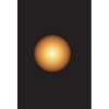 The Birth of God - Hardcover