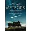 Meteors: More Musings By An Astronomer Who Became A Psychiatrist - Paperback