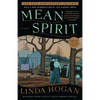 Mean Spirit - Paperback