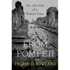 From Pompeii: The Afterlife of a Roman Town - Paperback