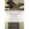 The Image of God in an Image Driven Age: Explorations in Theological Anthropology - Paperback