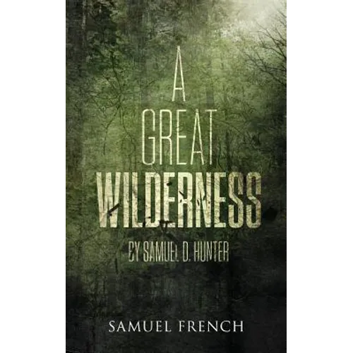 A Great Wilderness - Paperback