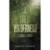 A Great Wilderness - Paperback