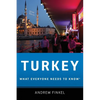 Turkey: What Everyone Needs to Know(r) - Paperback