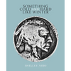 Something Cold and Hard Like Winter - Paperback
