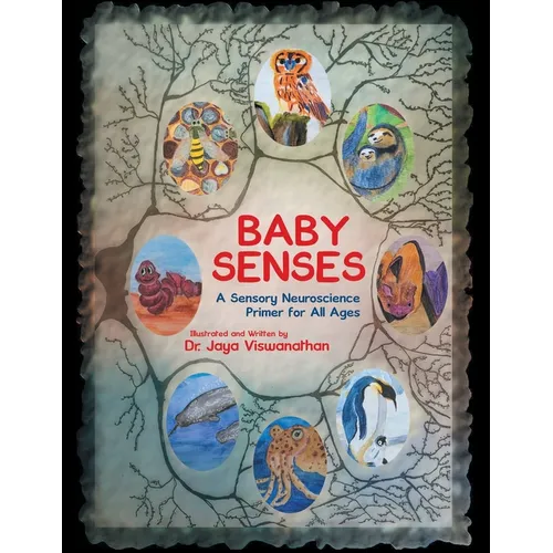 Baby Senses: A Sensory Neuroscience Primer for All Ages - Paperback