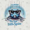 The Sad Little Spider - Paperback