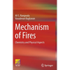 Mechanism of Fires: Chemistry and Physical Aspects - Hardcover