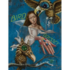 Bird Odyssey - Paperback