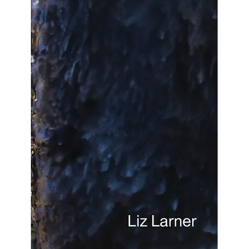 Liz Larner - Paperback