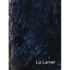 Liz Larner - Paperback