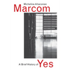 A Brief History of Yes - Paperback