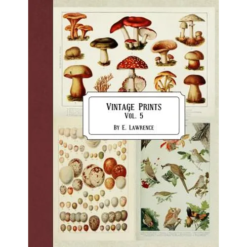 Vintage Prints: Vol. 5 - Paperback